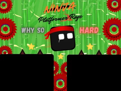 Ninja Platformer Rage